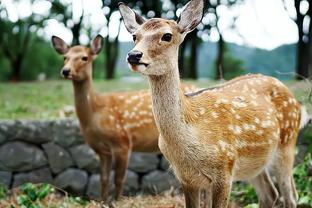 率先发力！鄢手骐首节6中4贡献10分3断 三分3中2